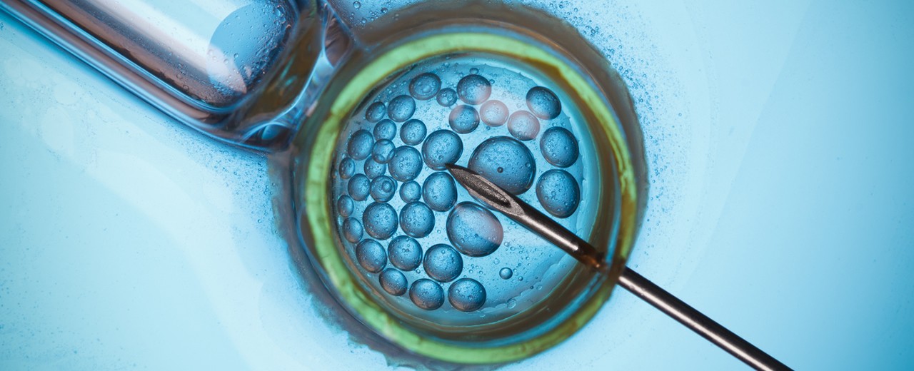 DNA editing in human embryos